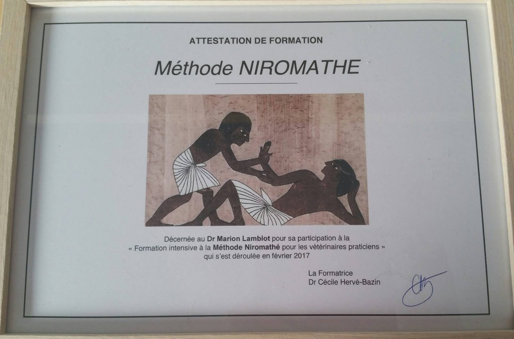 Niromathé