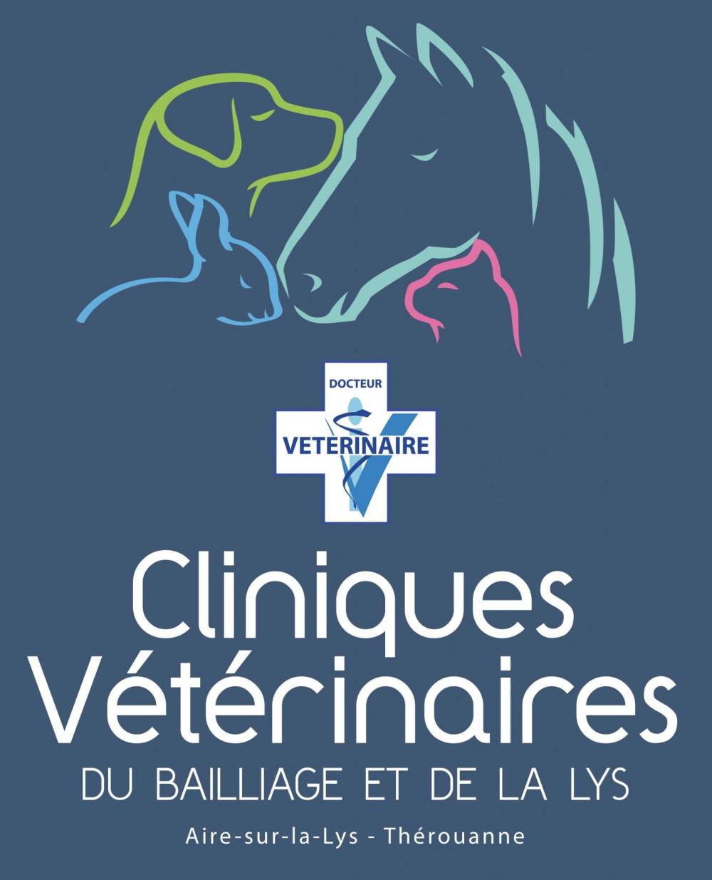 cliniques_veterinaires_bailliage