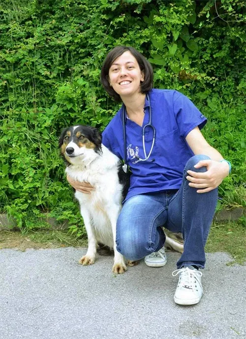 Dr-LABRADOR