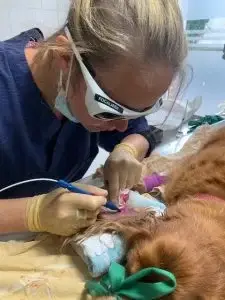 Chirurgie par Laserthérapie- retrait masse oreille
