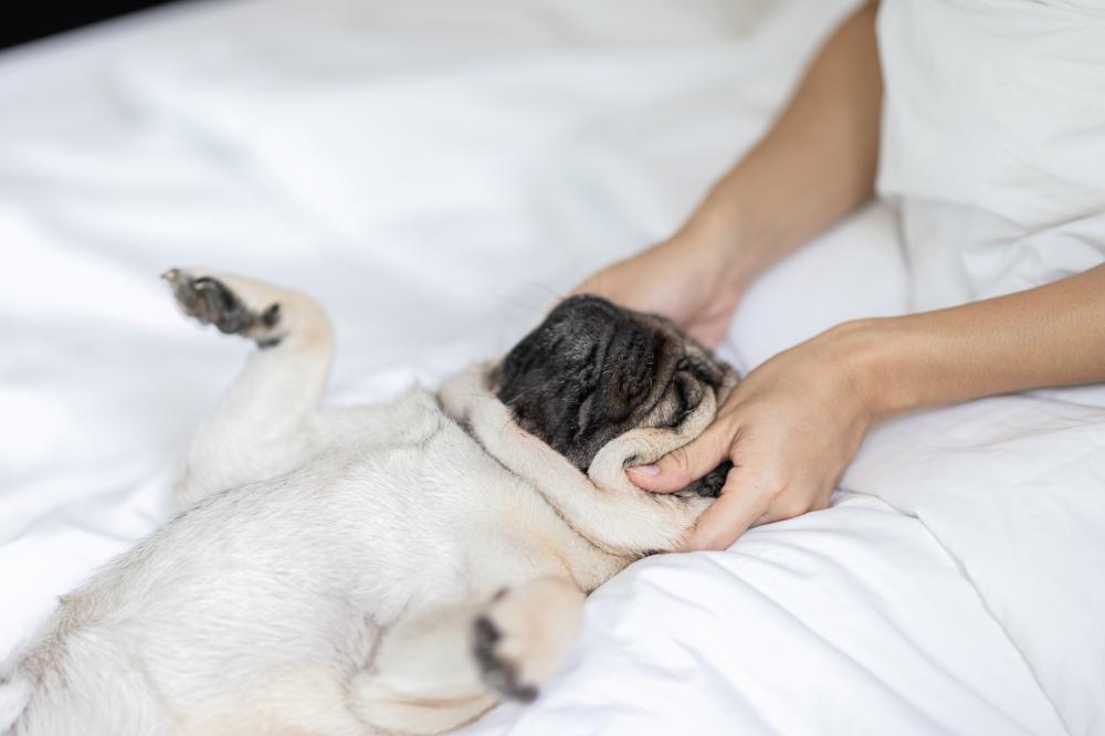 Massages thérapeutiques