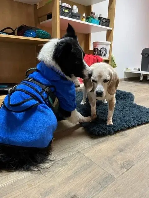 border-et-bibi